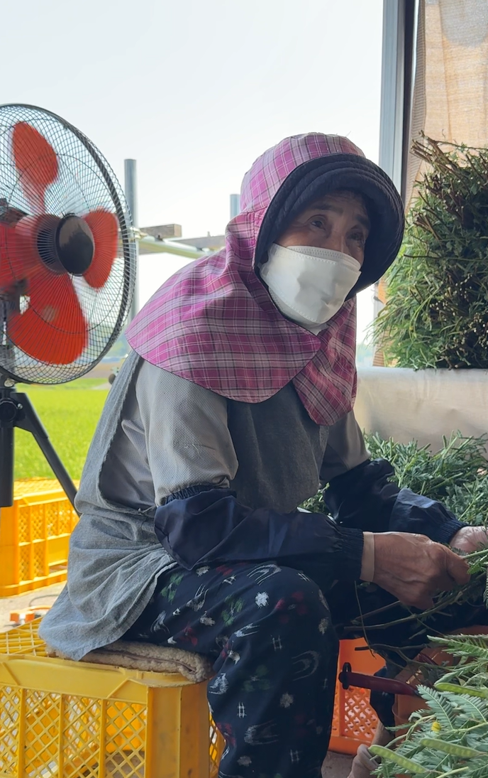 素材と向き合う作り手