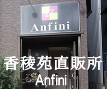 anfini3